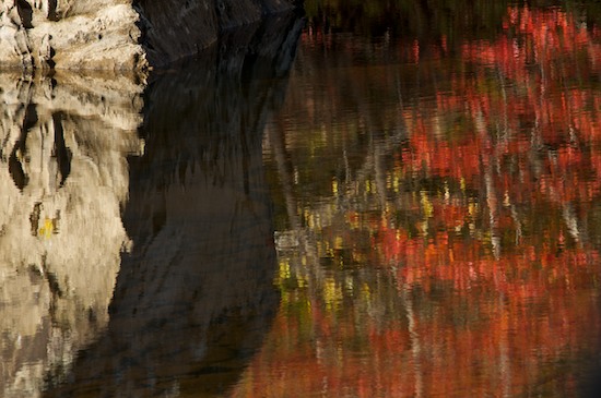 Abstract;Abstractions;Autumn;Big South Fork National Recreation Area;Boulder;Brook;Creek;Fall;Foliage;Geological;Geology;Gray;Leaf;Leafy;Leaves;Patterns;Red;Reflection;Reflections;River;River Bed;Riverbed;Rivers;Rock;Rock Formations;Rocks;Shapes;Stone;Stones;Stream;Striation;Tan;Tennessee;Textures;Vein;water;Water;waterway